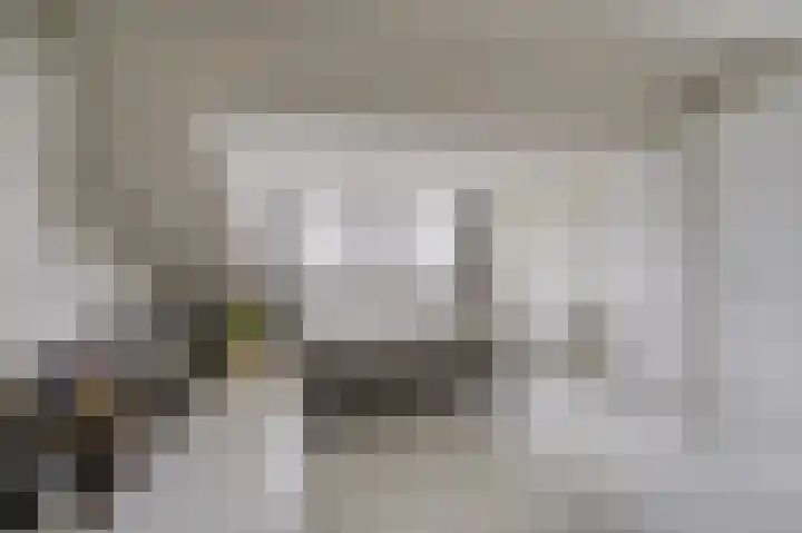 Rembrandtlaan 10 Voorschoten thumbnail 38