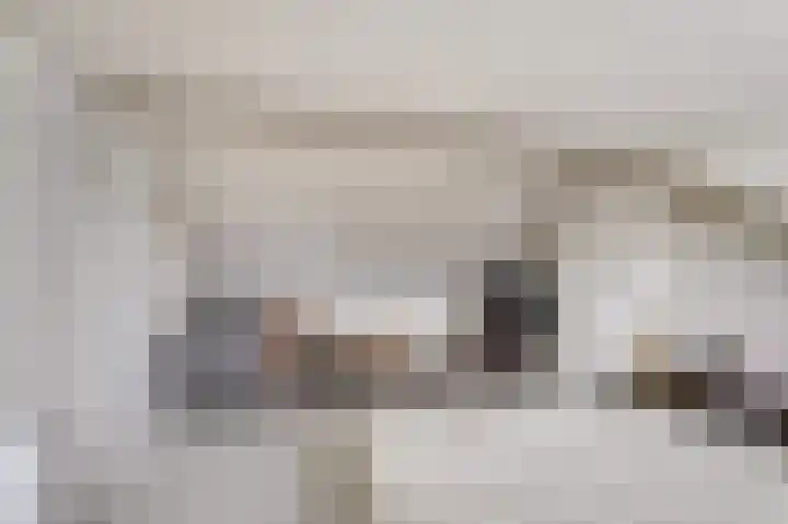 Rembrandtlaan 10 Voorschoten thumbnail 39