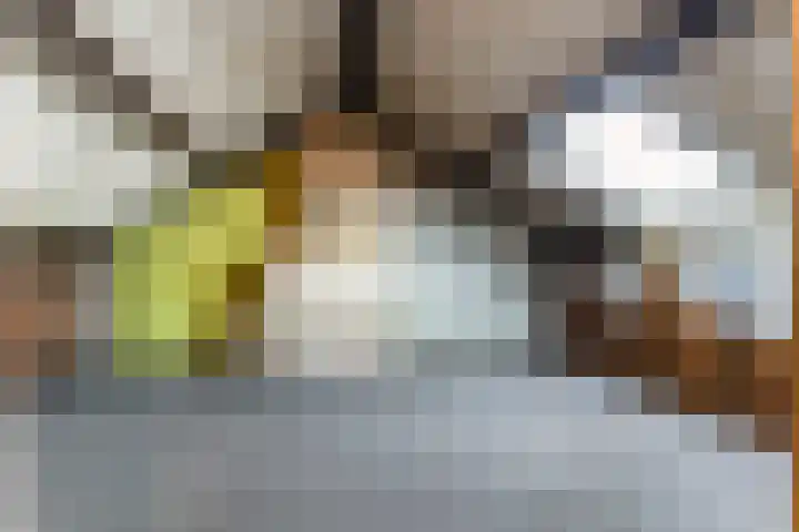 Rembrandtlaan 102 Woerden thumbnail 25