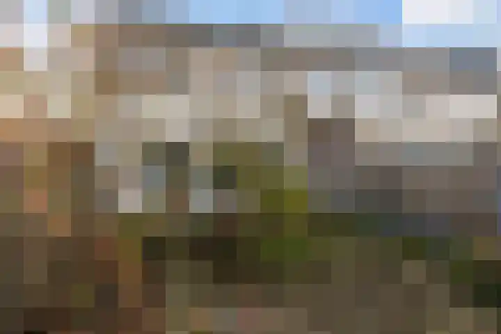 Rembrandtlaan 102 Woerden thumbnail 28