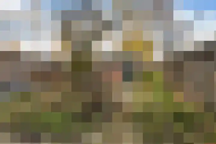 Rembrandtlaan 102 Woerden thumbnail 4