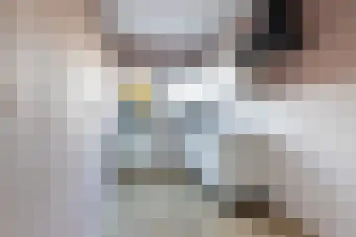 Rembrandtlaan 102 Woerden thumbnail 8