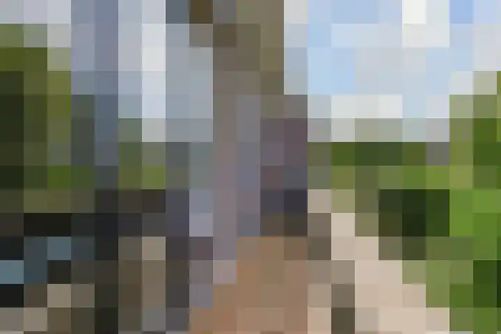 Rembrandtlaan 103 Voorburg thumbnail 17