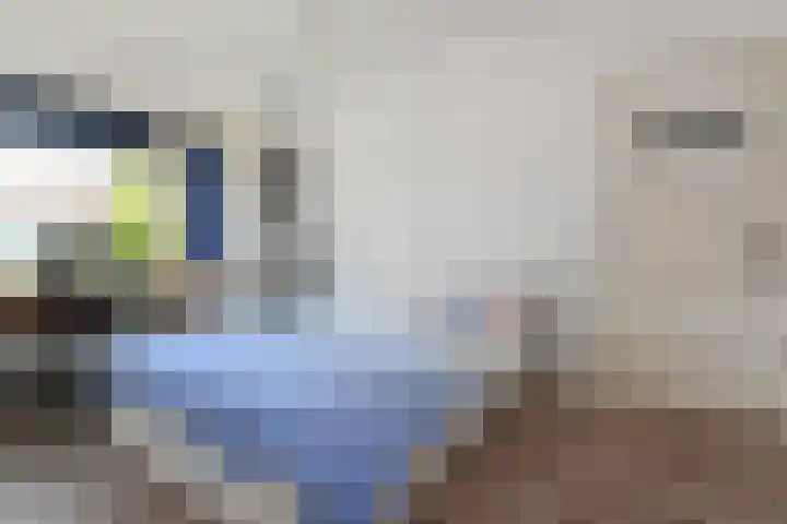 Rembrandtlaan 103 Voorburg thumbnail 19