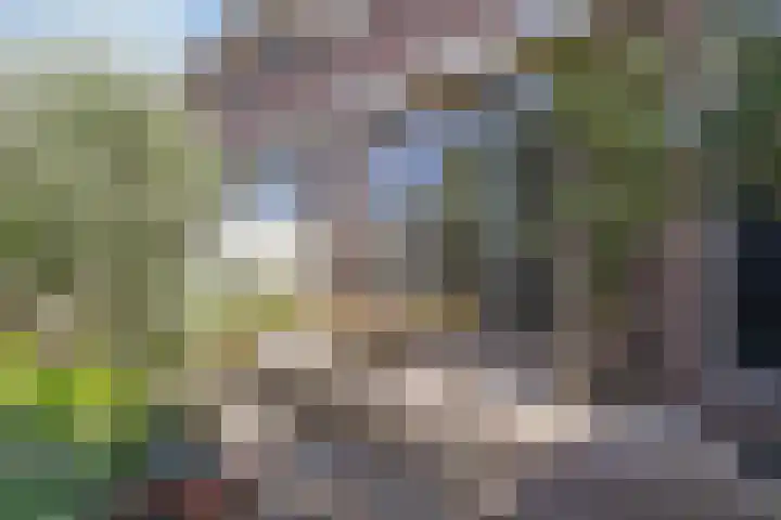 Rembrandtlaan 103 Voorburg thumbnail 25