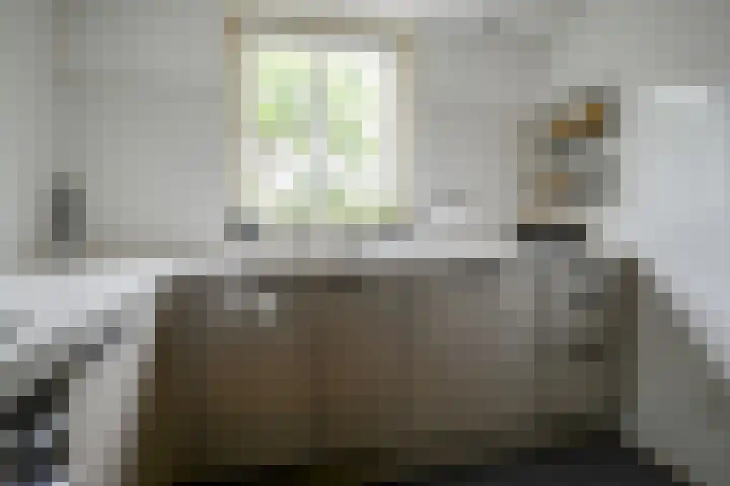 Rembrandtlaan 107 Bergschenhoek thumbnail 11