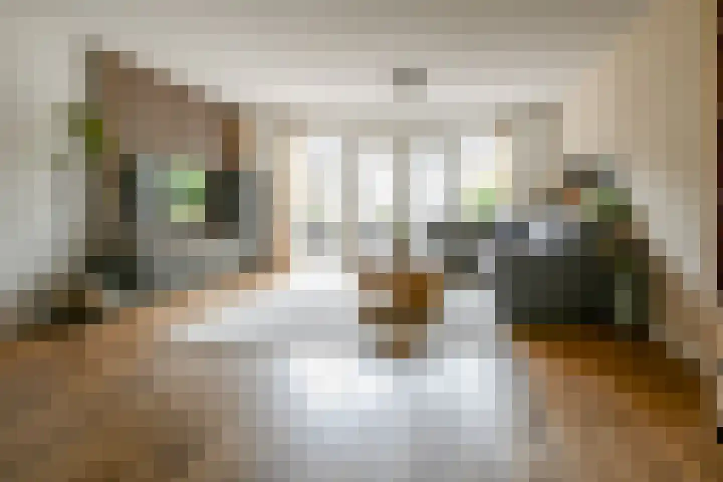 Rembrandtlaan 107 Bergschenhoek thumbnail 13