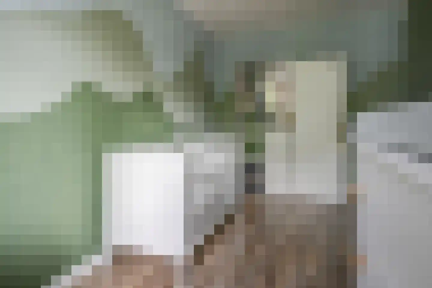 Rembrandtlaan 107 Bergschenhoek thumbnail 22