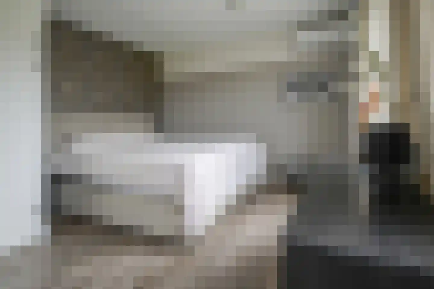 Rembrandtlaan 107 Bergschenhoek thumbnail 26