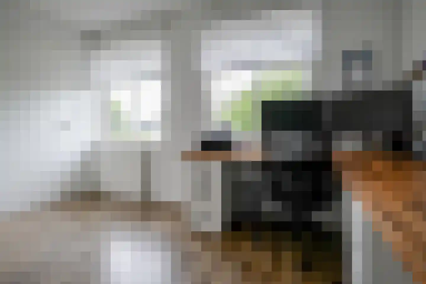 Rembrandtlaan 107 Bergschenhoek thumbnail 34