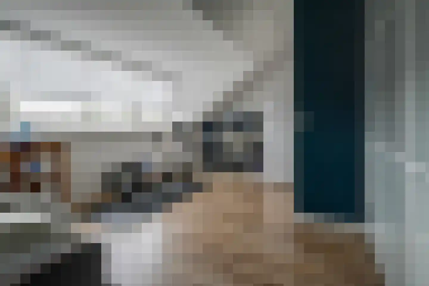 Rembrandtlaan 107 Bergschenhoek thumbnail 36