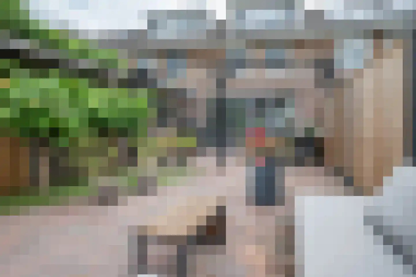 Rembrandtlaan 107 Bergschenhoek thumbnail 44