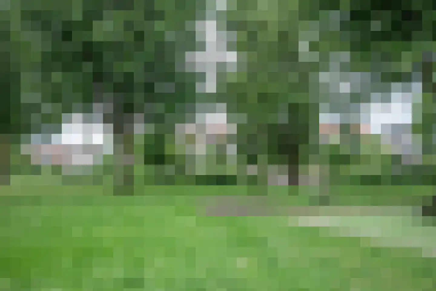 Rembrandtlaan 107 Bergschenhoek thumbnail 49