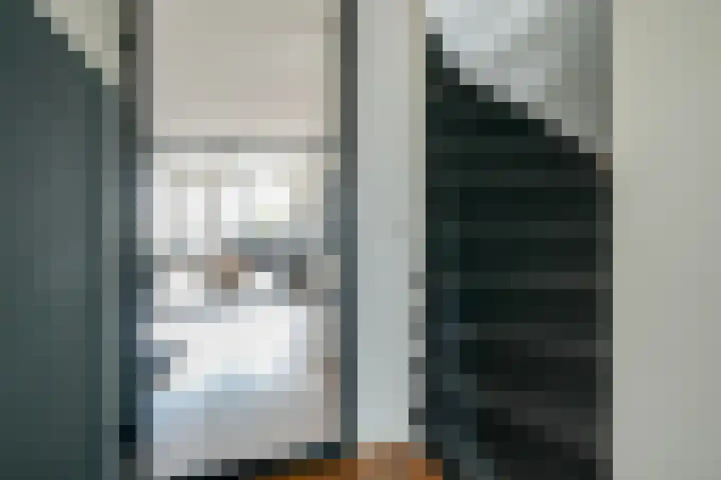Rembrandtlaan 107 Bergschenhoek thumbnail 8