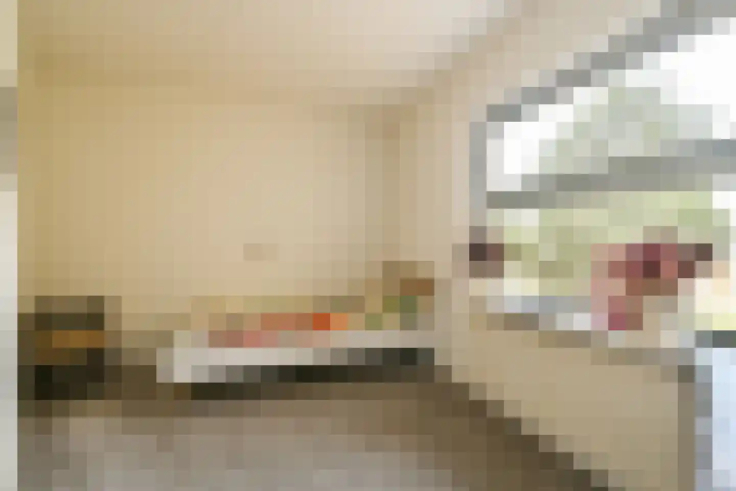 Rembrandtlaan 107 Schiedam thumbnail 15