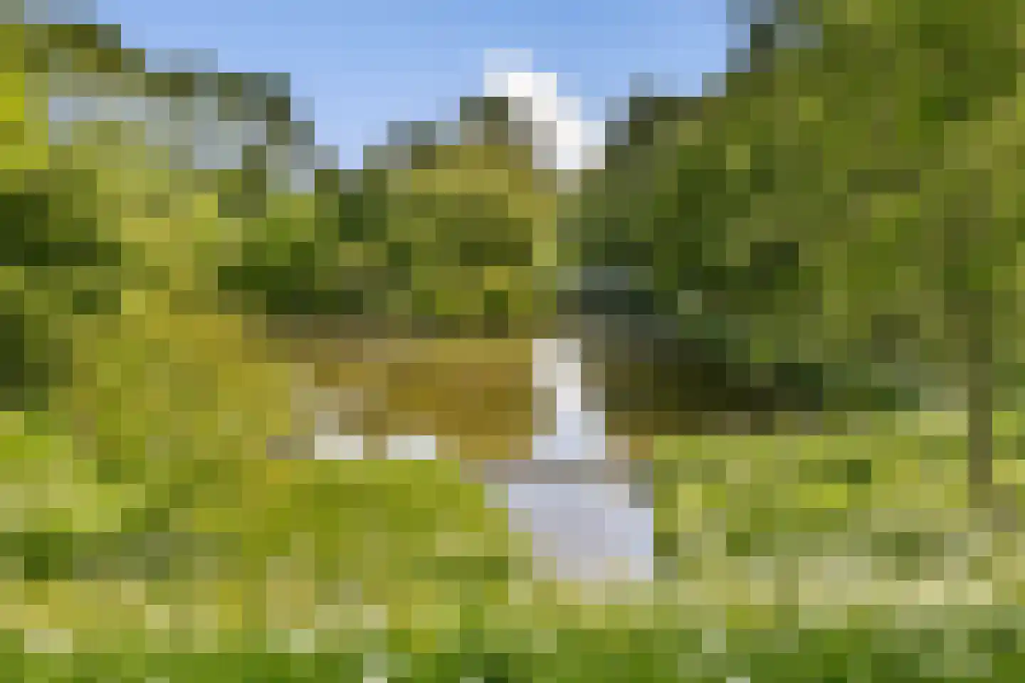 Rembrandtlaan 107 Schiedam thumbnail 22