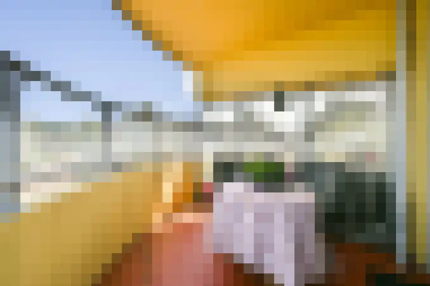 Rembrandtlaan 107 Schiedam thumbnail 7