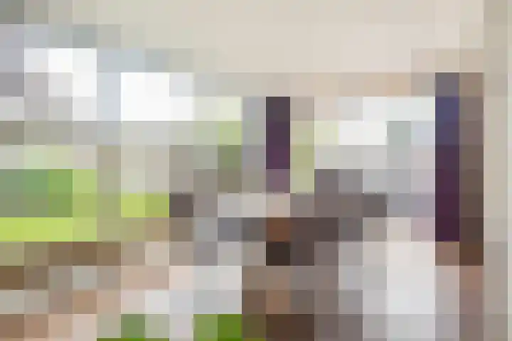Rembrandtlaan 108 Ede thumbnail 10