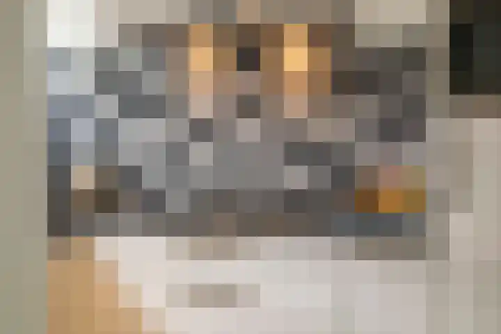 Rembrandtlaan 108 Ede thumbnail 15