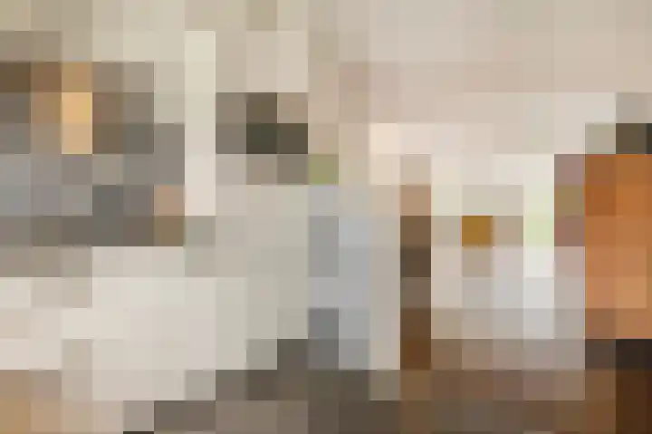 Rembrandtlaan 108 Ede thumbnail 16