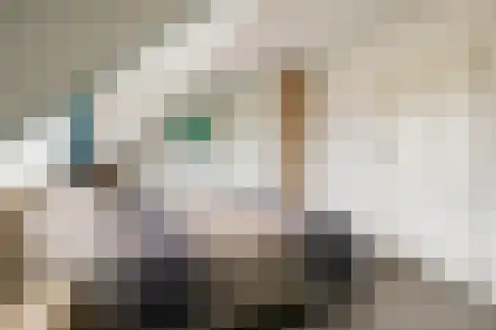 Rembrandtlaan 108 Ede thumbnail 21