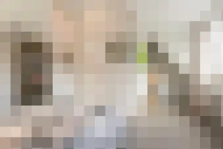 Rembrandtlaan 108 Ede thumbnail 32