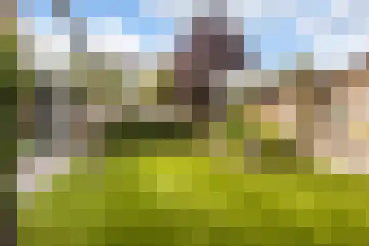 Rembrandtlaan 108 Ede thumbnail 35