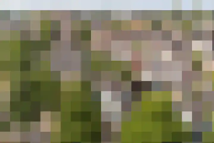 Rembrandtlaan 108 Ede thumbnail 39
