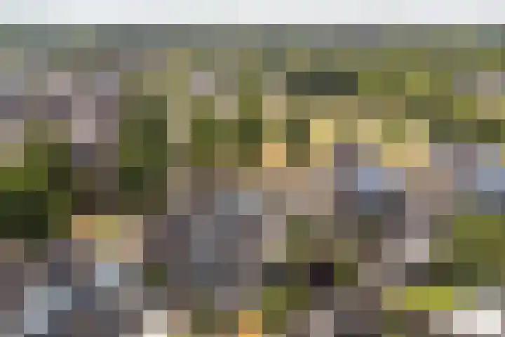 Rembrandtlaan 108 Ede thumbnail 40