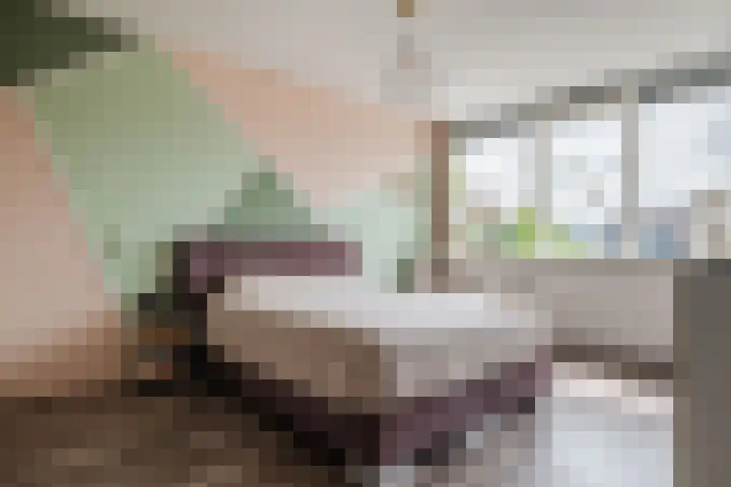 Rembrandtlaan 108 Meppel thumbnail 11