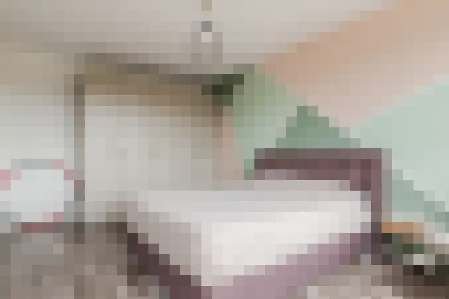 Rembrandtlaan 108 Meppel thumbnail 12