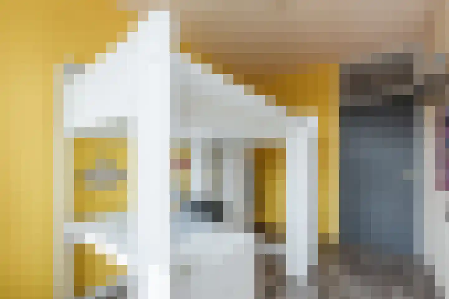 Rembrandtlaan 108 Meppel thumbnail 17