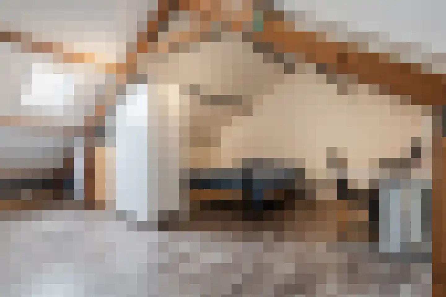 Rembrandtlaan 108 Meppel thumbnail 21