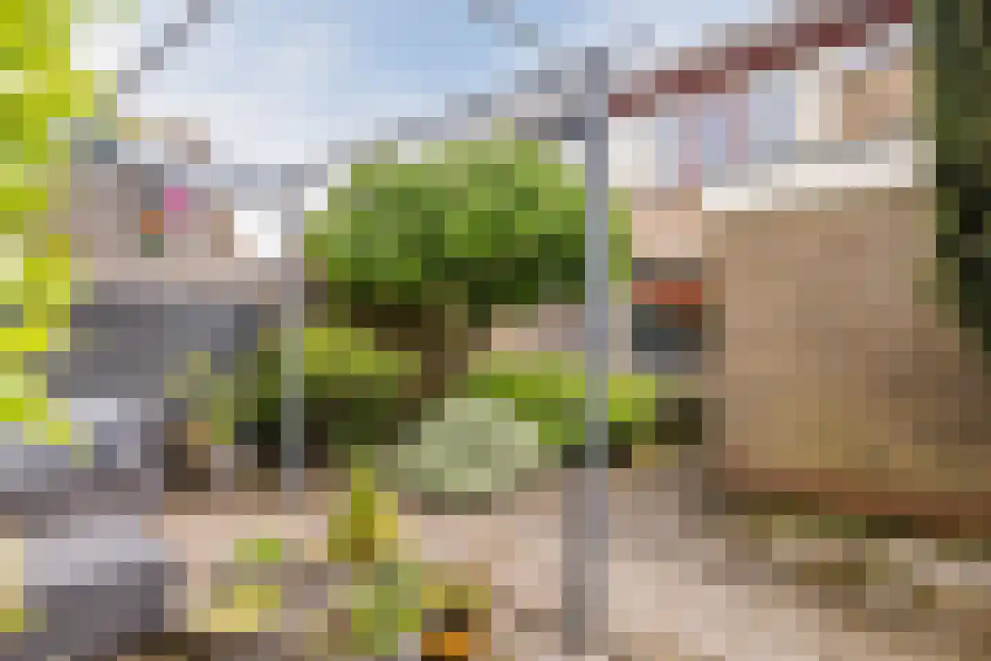 Rembrandtlaan 108 Meppel thumbnail 26