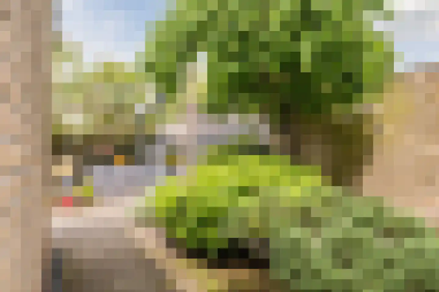 Rembrandtlaan 108 Meppel thumbnail 29