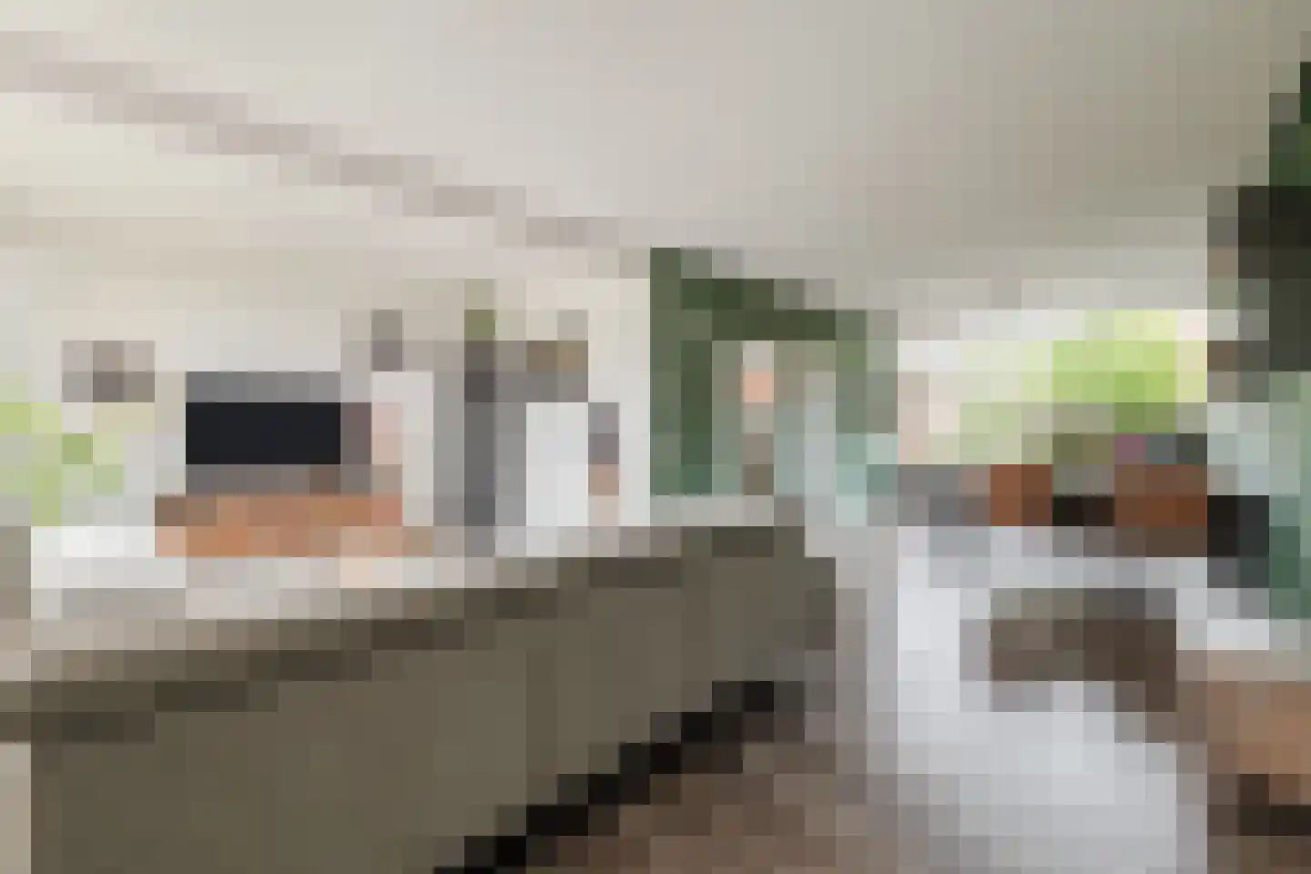 Rembrandtlaan 108 Meppel thumbnail 4