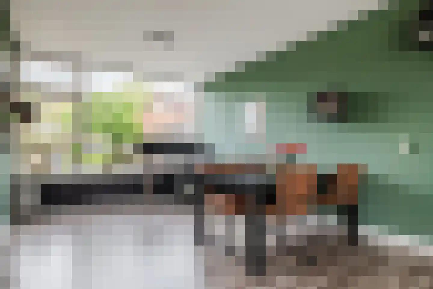 Rembrandtlaan 108 Meppel thumbnail 5
