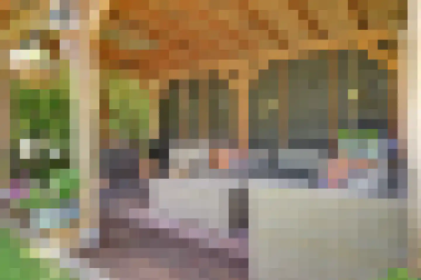 Rembrandtlaan 11 Anna Paulowna thumbnail 41
