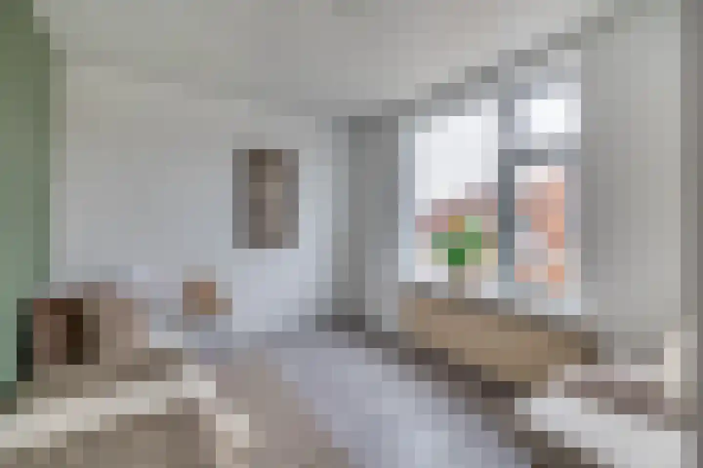 Rembrandtlaan 11 Hoogezand thumbnail 14