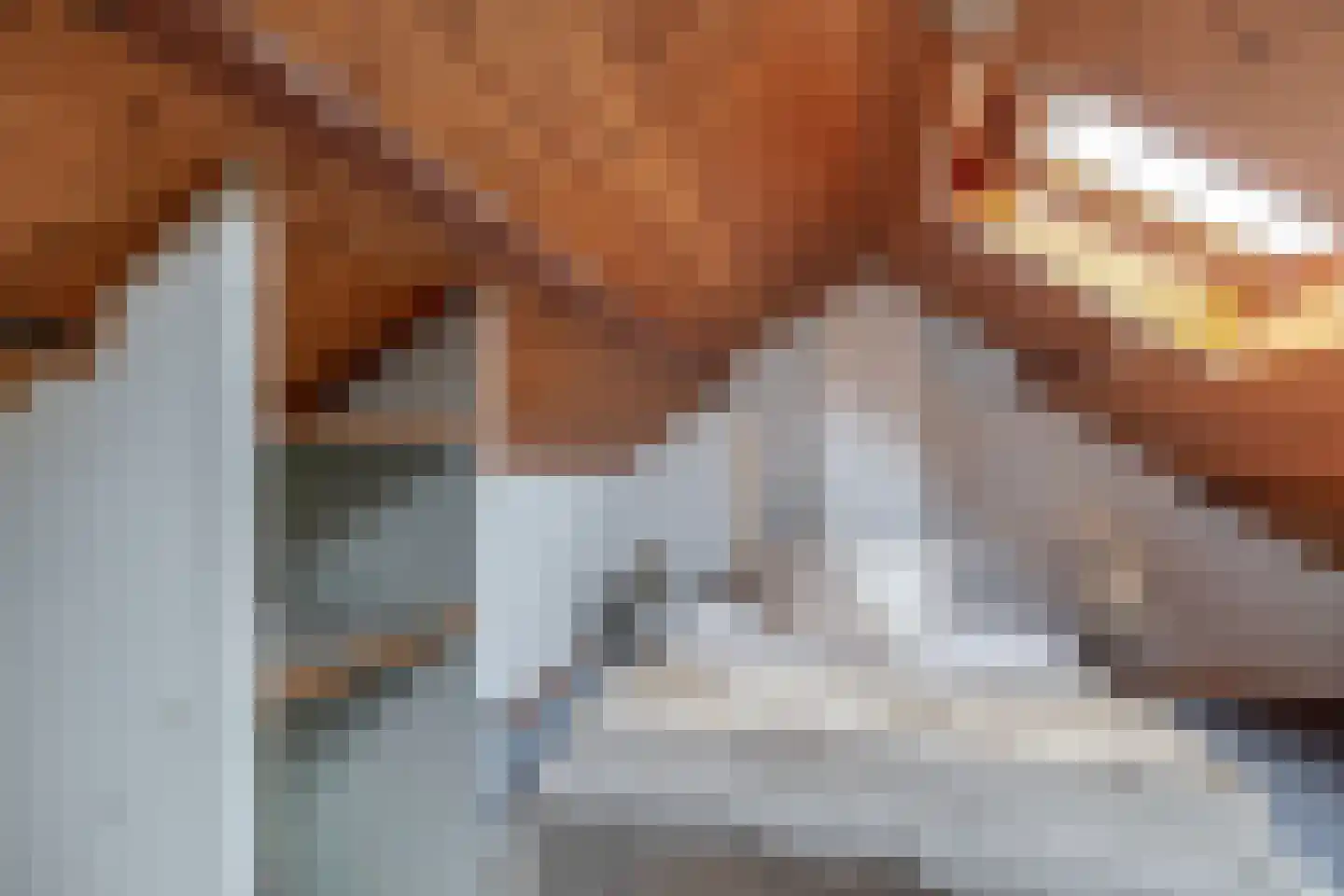 Rembrandtlaan 11 Hoogezand thumbnail 19