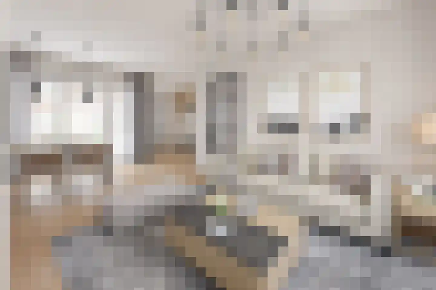 Rembrandtlaan 11 Hoogezand thumbnail 6