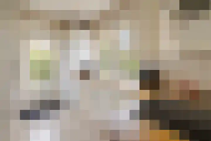 Rembrandtlaan 11 Naarden thumbnail 18