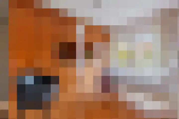 Rembrandtlaan 11 Naarden thumbnail 19