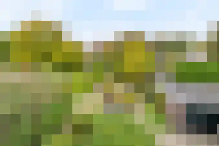 Rembrandtlaan 11 Naarden thumbnail 32