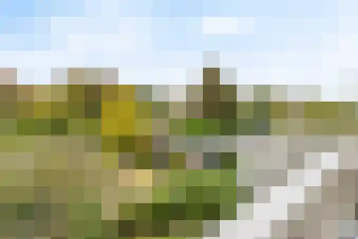 Rembrandtlaan 11 Naarden thumbnail 33