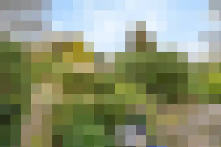 Rembrandtlaan 11 Naarden thumbnail 34
