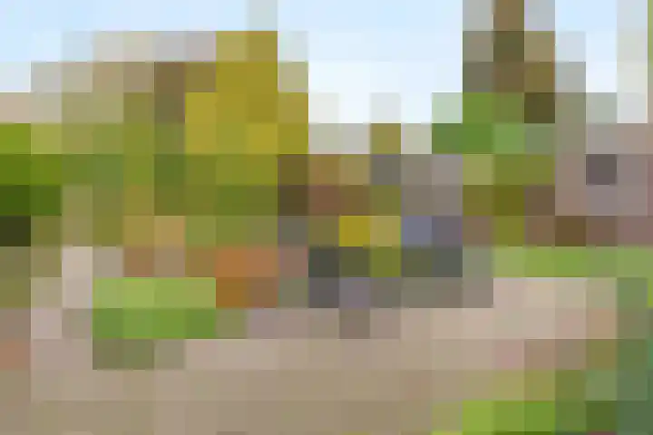 Rembrandtlaan 11 Naarden thumbnail 36