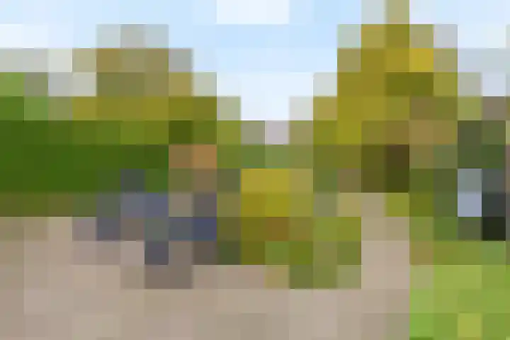 Rembrandtlaan 11 Naarden thumbnail 37