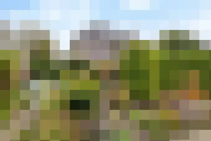 Rembrandtlaan 11 Naarden thumbnail 38