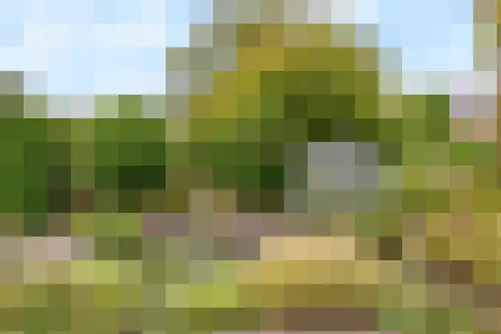 Rembrandtlaan 11 Naarden thumbnail 39